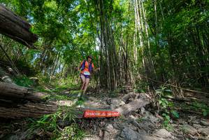 BIB: 
                            <button type="button" onclick="openModal(19393605)" class="btn btn-primary btn-sm float-right btn-popup" data-toggle="modal" data-target=".modal-high-quality">
                        <i class="fas fa-shopping-cart"></i> Add to Cart
                    </button>
                                            <button type="button" onclick="isThisMe(19393605, true)" class="btn btn-success btn-sm float-right btn-popup btn-isme hidden" data-toggle="tooltip" data-placement="bottom" title="นี่คือรูปของคุณใช่ไหม คลิกที่นี่เพื่อเอาเข้าอัลบั้ม">
                        <i class="fas fa-plus"></i> Add to album
                    </button>
                    <button type="button" onclick="isThisMe(19393605, false)" class="btn btn-warning btn-sm float-right btn-popup btn-isnotme hidden">
                        <i class="fas fa-ban"></i> Remove from album
                    </button>